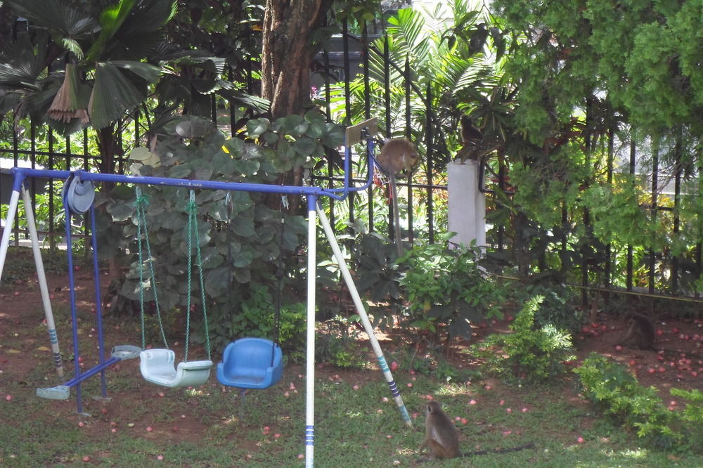 Kandy Green View Bungalow Exteriér fotografie